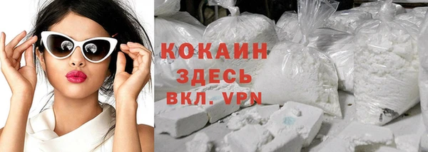 гашик Ладушкин