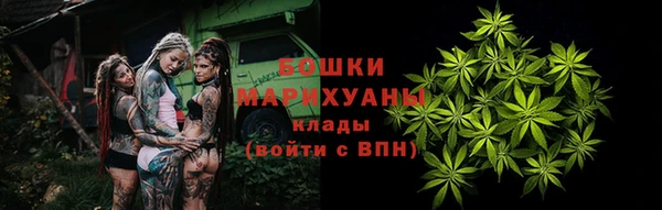 индика Лагань