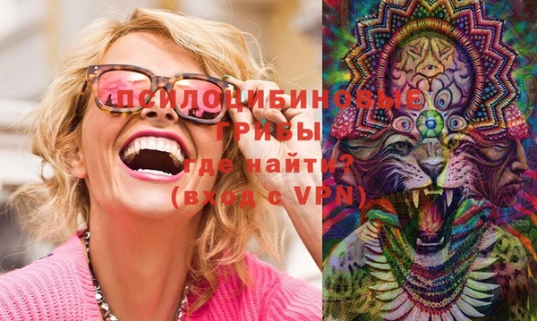PSILOCYBIN Алексеевка