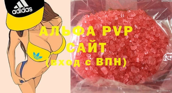 стафф Алексин