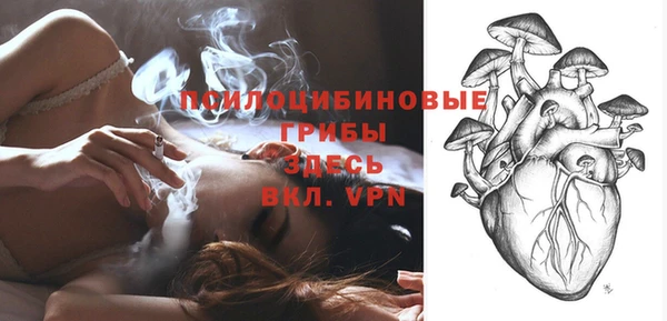 PSILOCYBIN Алексеевка